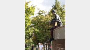 [고양이 눈]가을과 음악