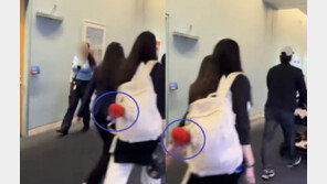 오타니 아내도 ‘아미’?…가방 장식 BTS 뷔 ‘굿즈’ 인듯