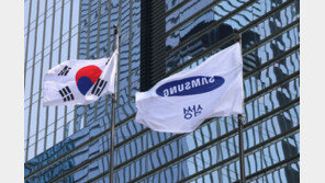 삼성전자, 애플페이 안방 공략… 美 신용카드 출시 추진