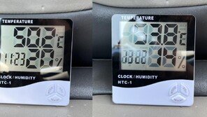 “내 인생 최악의 악몽”…뜨거운 차 안 딸 방치한 아버지