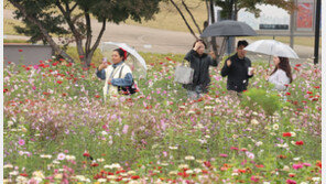 주말 끝자락 남부 비…오후부터 찬바람 불며 기온 ‘뚝’