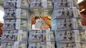 대미 투자 재원으로 쓸 외화자산, 4년에 1번꼴 손실…대미 투자 재원조달 차질 우려