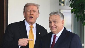 트럼프, 해외 우파정권에 파격적 보상