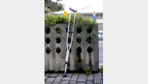 [고양이 눈]회복의 증거