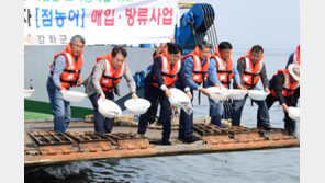 인천 강화군, 해양 생태계 조사와 어촌 재생 사업 본격 추진
