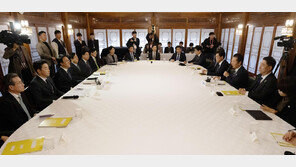 배당소득세 최고세율 35→25% 가닥