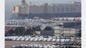 韓경제 불확실성 6개월만에 상승… 관세-부동산 혼란 등 영향