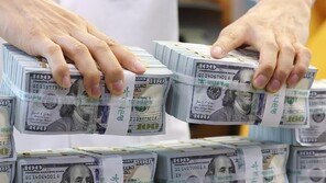 외화자산 운용 4년에 1번꼴 손실… 美투자 재원 조달 우려