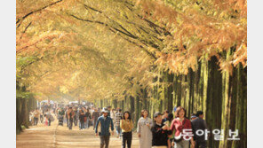 가을, 가니?… 오늘 서울 아침 최저 4도