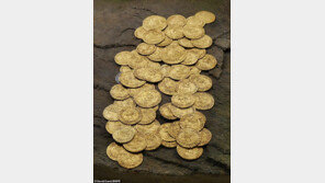 정원 손질하다 9억원 횡재…16세기 동전 70개 발견돼 경매