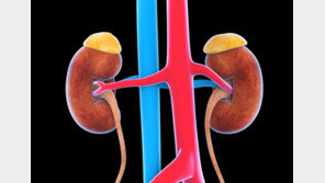 조용히 퍼지는 ‘만성 콩팥병’, 전 세계 사망 원인 9위