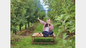 농촌체험에 교통 할인도… ‘농촌투어패스’ 전국 관광패스로 성장