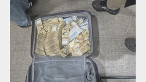 수십억 세금 체납자 집에 에르메스 가방 60개가…