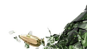 “주소 잘못 찾았을 뿐인데”… 청소하러 간 네 아이 엄마, 총 맞고 즉사