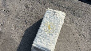 제주 해안가 ‘또’ 茶봉지로 위장한 마약…40여일간 8번째