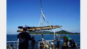 ‘바닷속 경주’ 태안 마도서 조선시대 난파선 인양…600년 만에 바다 위로