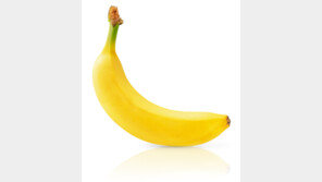 바나나, 다른 과일과 섞어 먹으면 손해…플라바놀 흡수 ‘뚝’