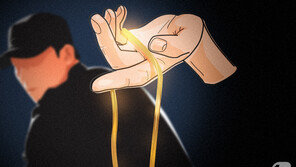 “한번 차볼게요”…30돈 금팔찌 들고 튄 20대 일당 검거