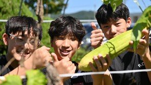 농촌 유학마을 조성… 귀촌 가족에 거주비 지원