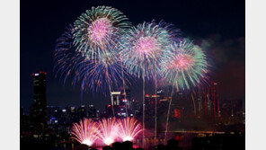 한화이글스, 대전서 불꽃축제 추진…시와 세부 계획 논의