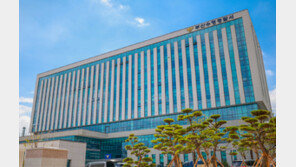 암에 좋다 해서…양귀비 담금주 마신 30대, 복통에 병원갔다 덜미