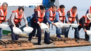 강화 어촌-어항 부활에 321억 원 투입