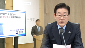 李대통령 “암표, 형벌보다 과징금 대폭 높이고 신고 포상금도 검토”