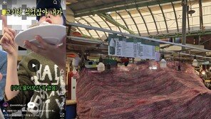 “고기 섞었잖아” 광장시장 ‘바가지 논란’ 노점, 10일 영업정지