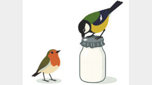 박새와 울새의 엇갈린 희비[서광원의 자연과 삶]〈114〉