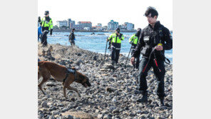 제주 또 ‘차 봉지 마약’… 경찰 대대적 수색