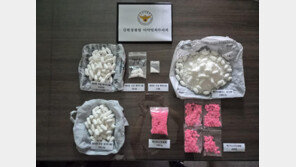 ‘인분 모양’ 포장해 항문에 숨겨…마약 45억대 밀반입
