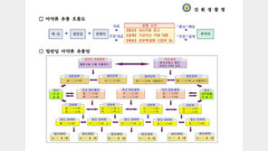 신체에 숨겨 밀반입…45억 마약류 국내 유통한 일당 무더기 검거