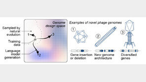 AI로 바이러스 설계해 창조…생명 윤리 논란 촉발