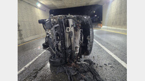 가로등 충돌 후 ‘차량 화재’…조치 없이 달아난 30대 검거