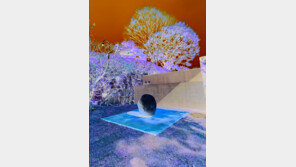 호암미술관 ‘옛돌정원’과 ‘희원’, 이우환 작가의 신작 상설 전시