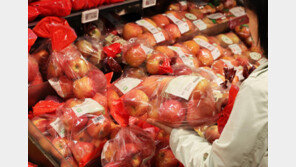 온난화에 사과 북상…10년새 경북생산량 25% 줄고, 강원은 5배 껑충