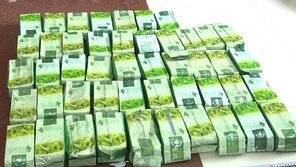 제주 해안 덮친 ‘茶봉지 마약’, 동남아 스탠다드 포장과 동일