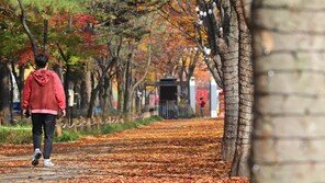 자박자박 단풍 카펫 밟으며 가을 산책