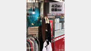 [고양이 눈]내가 입으면 명품!