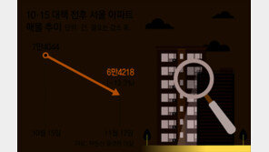 ‘최대 대출 가능’ 9억이하 아파트로… 노원-성북-강서 거래 몰려