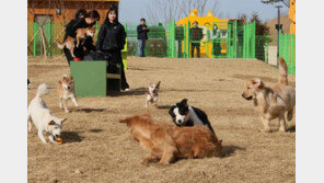 대구 ‘골칫덩어리 땅’ 시민들이 찾는 공간 됐다