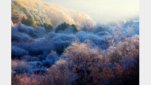 서리 내린 인제 ‘비밀의 정원’