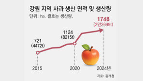 온난화에 점점 북상하는 사과 재배지… 경북 사과 25% 줄때, 강원 5배로 늘어