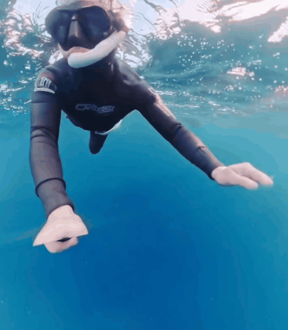 “잡아먹히는 줄”…혹등고래 마주친 다이버의 아찔한 순간 (영상)