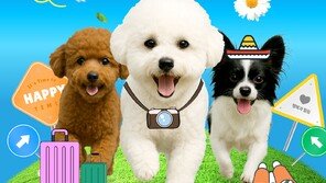 반려견과 함께 떠나는 남도한바퀴 특별코스 운영