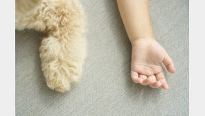 숙박업소서 낳은 아기 방치·시신 유기 커플…징역 7년