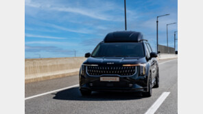 보가, 카니발 로우·하이리무진 9인승 정식 인증 완료