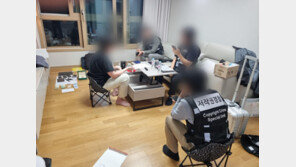 ‘누누티비’ 운영자, 2심서 형량 가중됐다…“징역 4년6월”