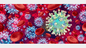 ‘변신의 귀재’ H3N2 바이러스 확산… 올겨울 센 독감 온다