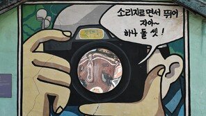 [고양이 눈]고생 끝, 웃음 시작